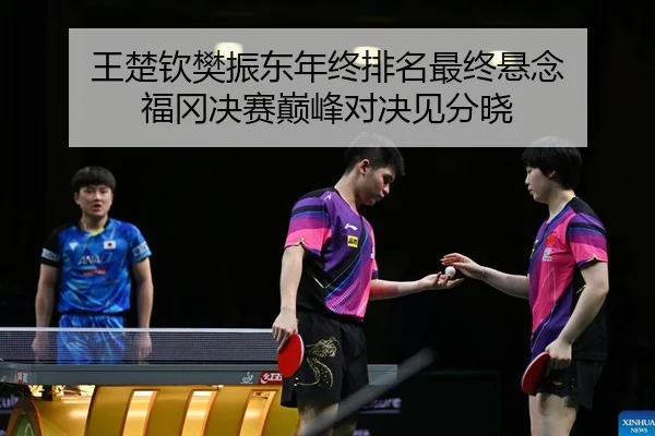 王楚钦樊振东年终排名最终悬念 福冈决赛巅峰对决见分晓